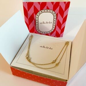 Stella & Dot 925 Long Necklace